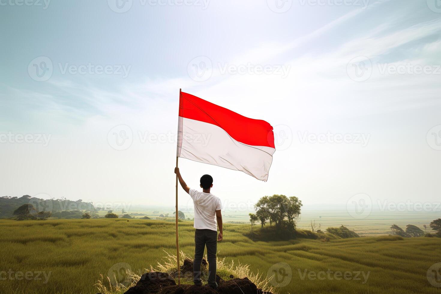 A man holding a red and white Indonesia flag on top of a lush green rice field. photo