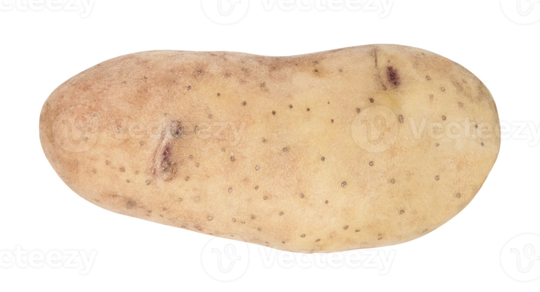 One young potato isolated on transparent background. Stock photo png