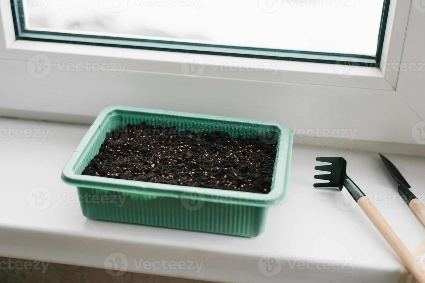 Container with peat and planted seeds with a garden tool at home on the windowsill photo
