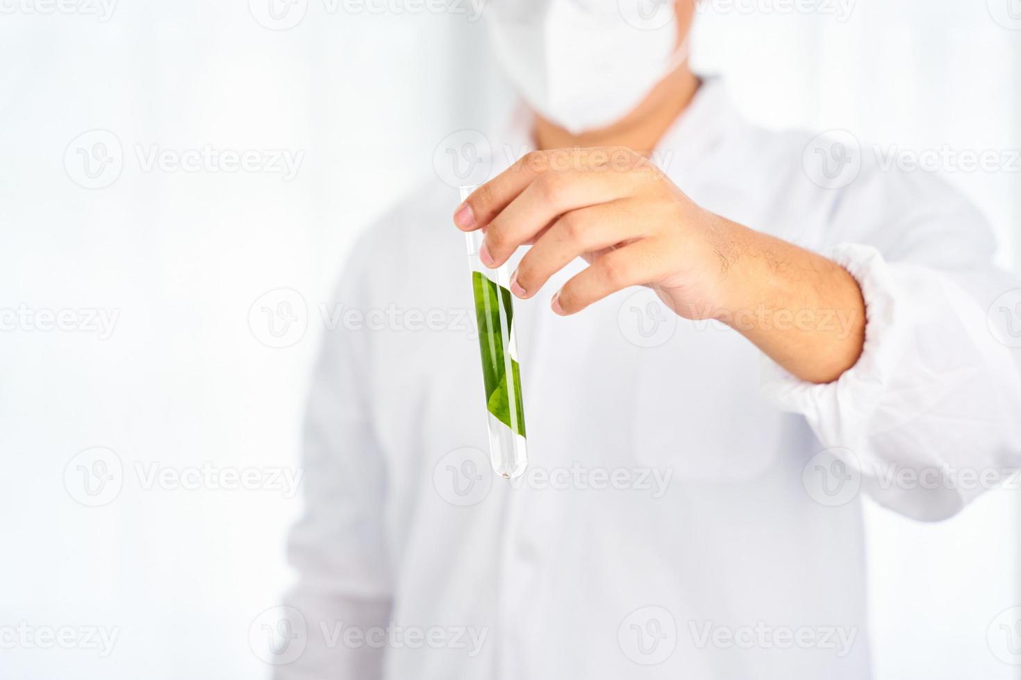 Asian scientist with science research biology with seaweed or kelp in the laboratory on white background photo