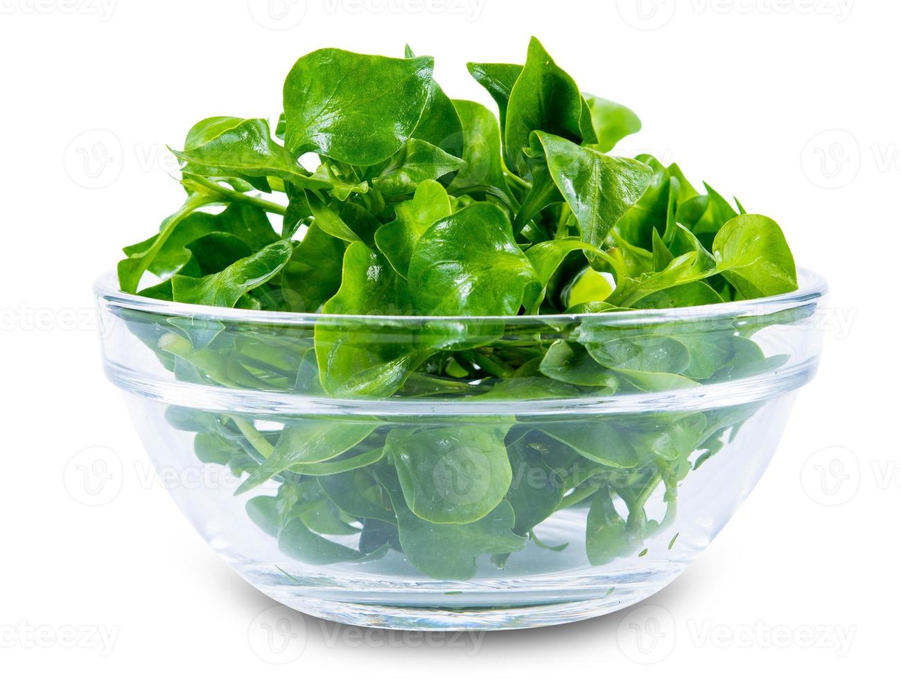watercress in glasses bowl isolated on white background. fresh watercress in glasses bowl isolated on white background. watercress leaf in glasses bowl isolated on white background with clipping path photo