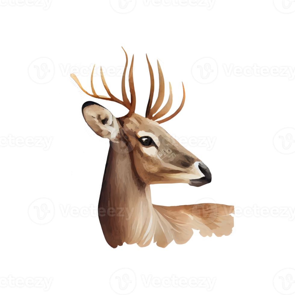 Watercolor Deer . AI Generated png