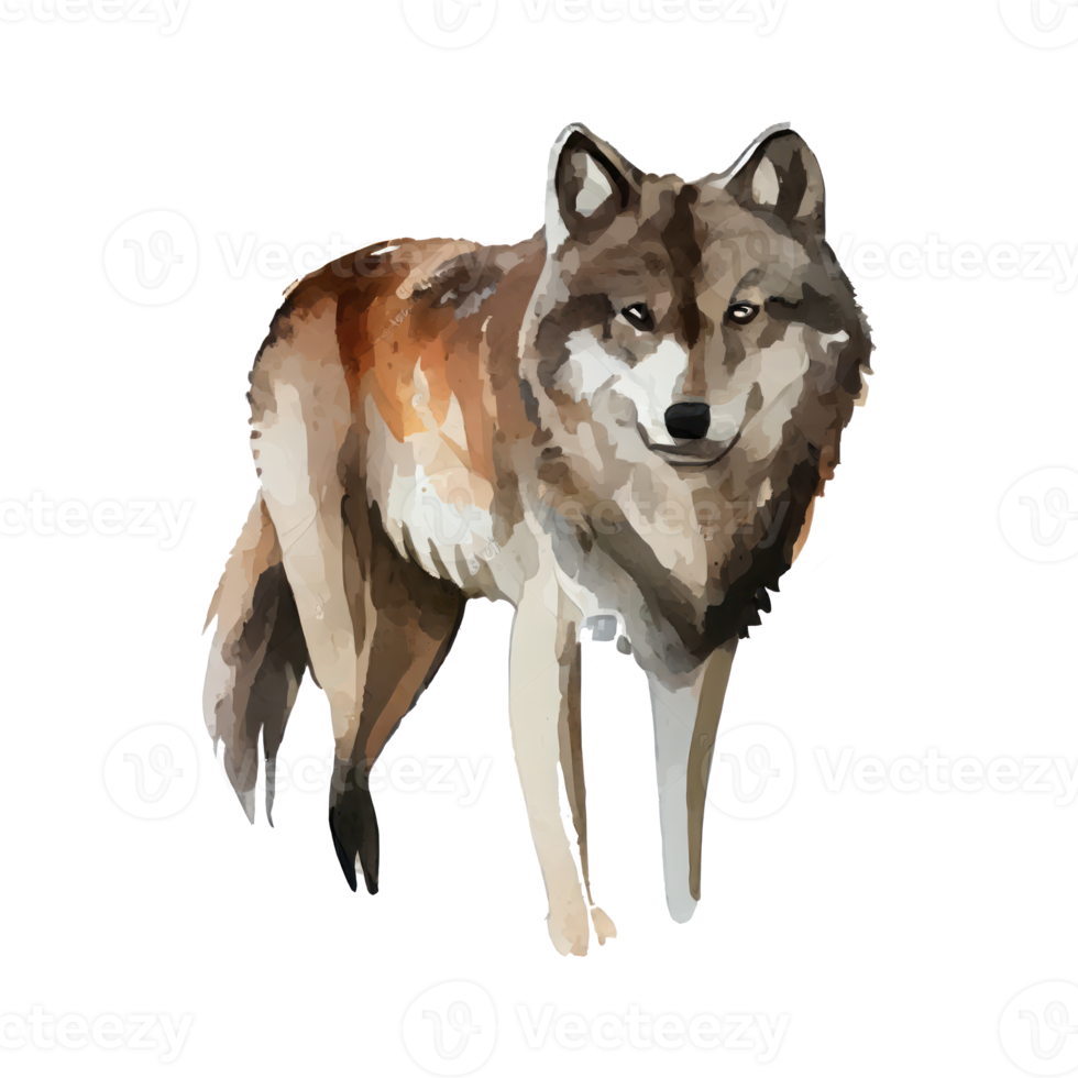 Watercolor Gray Wolf . AI Generated png