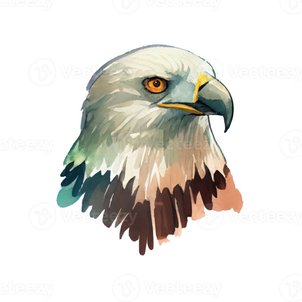Watercolor Eagle . AI Generated png