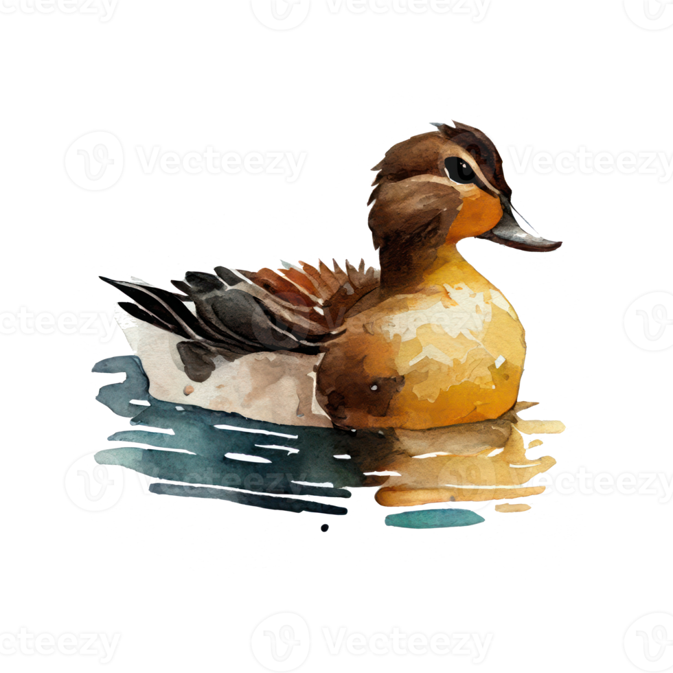 Watercolor Duck . AI Generated png