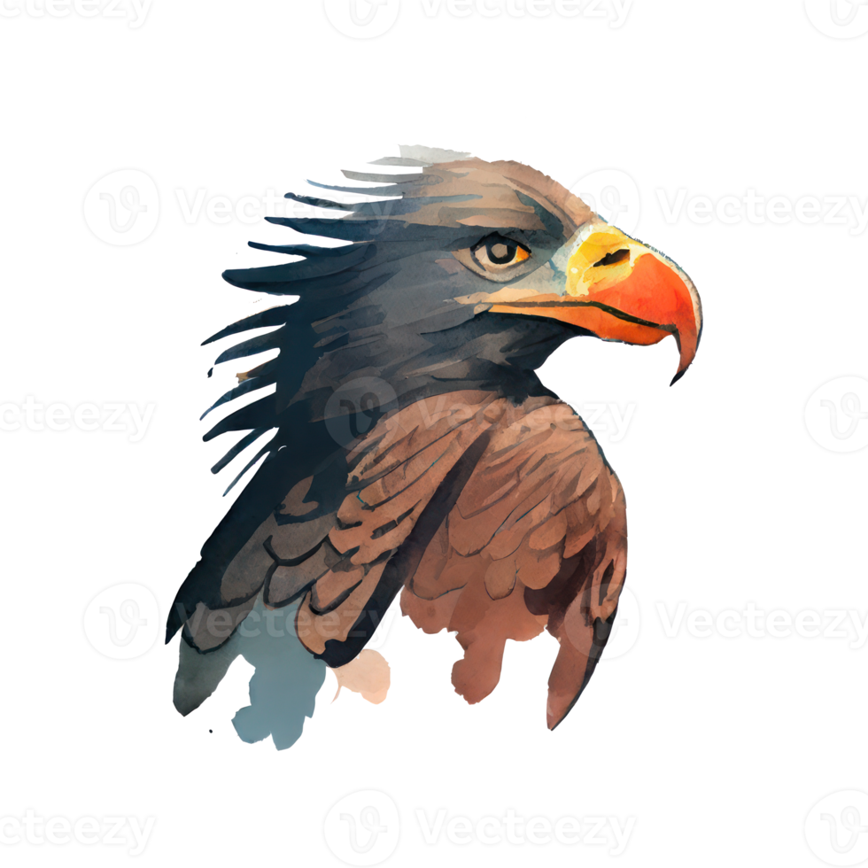 Watercolor Eagle . AI Generated png