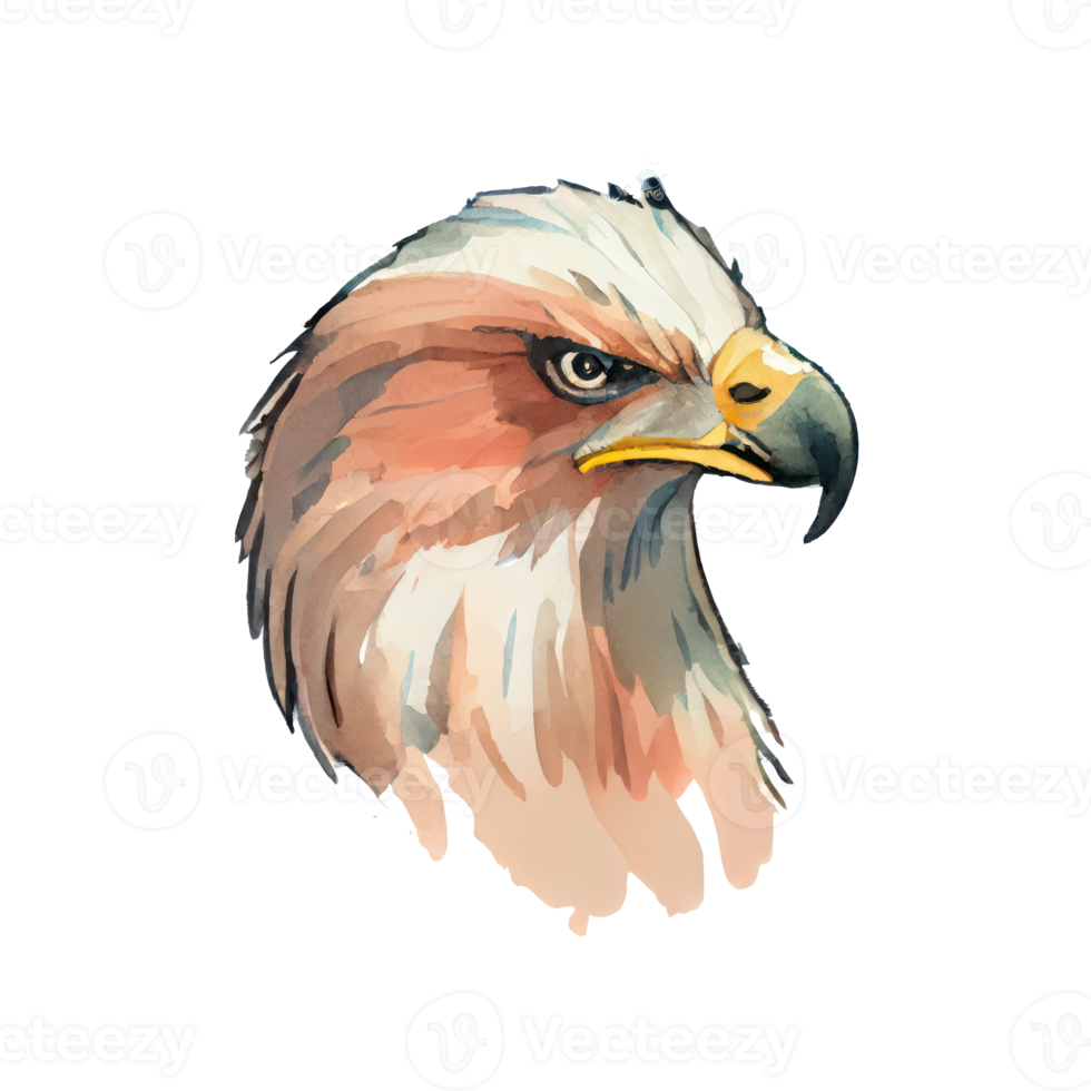 Watercolor Eagle . AI Generated png