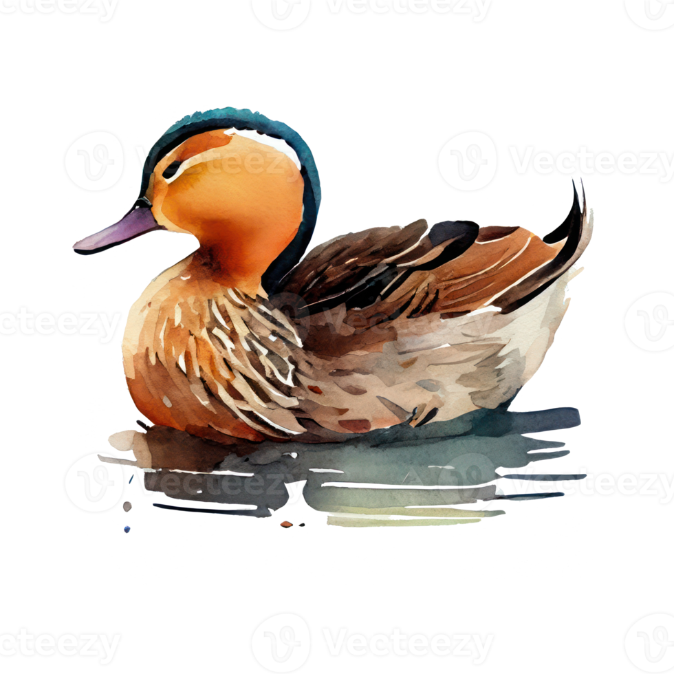 aquarelle canard . ai généré png