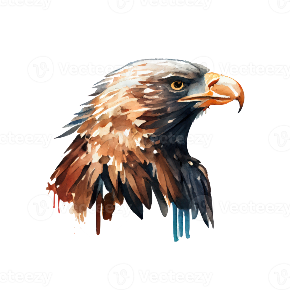 Watercolor Eagle . AI Generated png