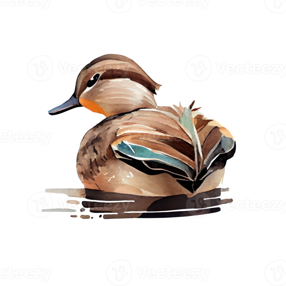 Watercolor Duck . AI Generated png