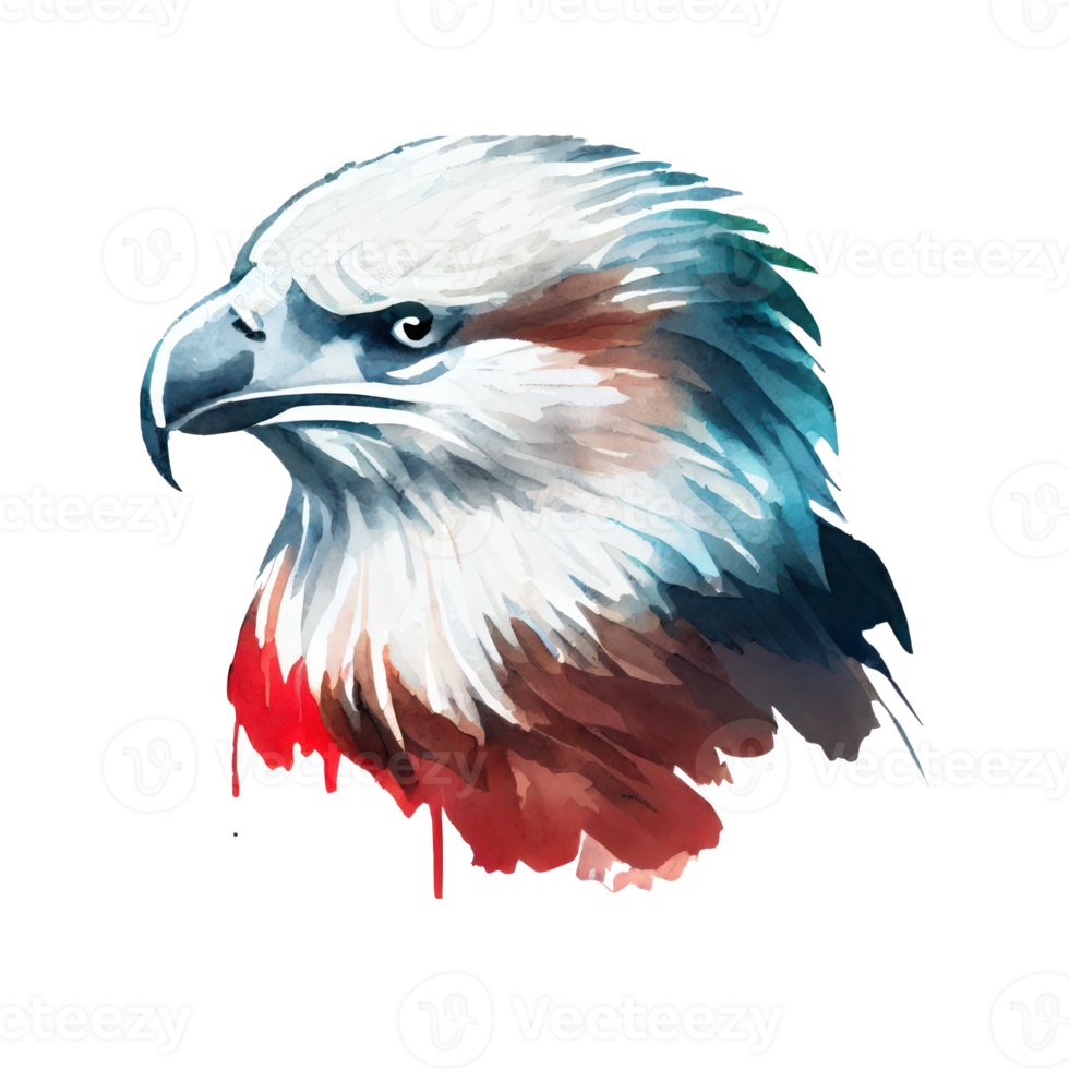 Watercolor Eagle . AI Generated png