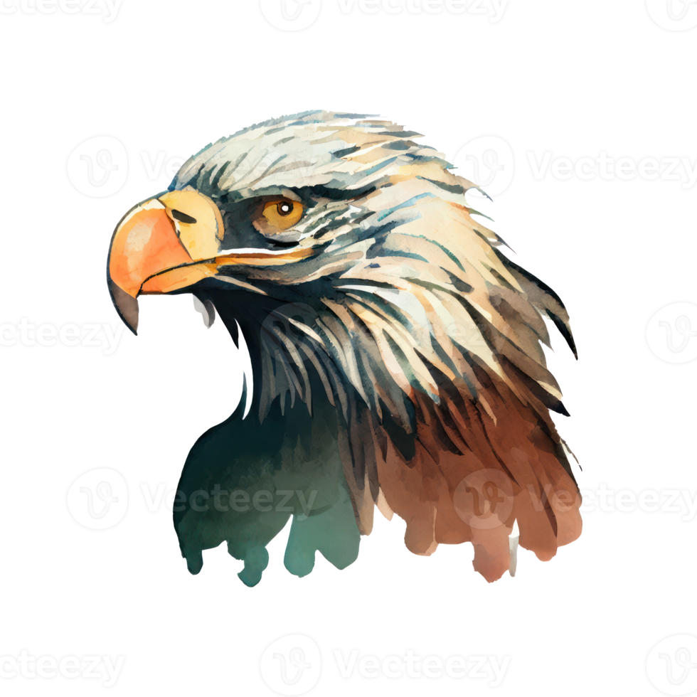 Watercolor Eagle . AI Generated png