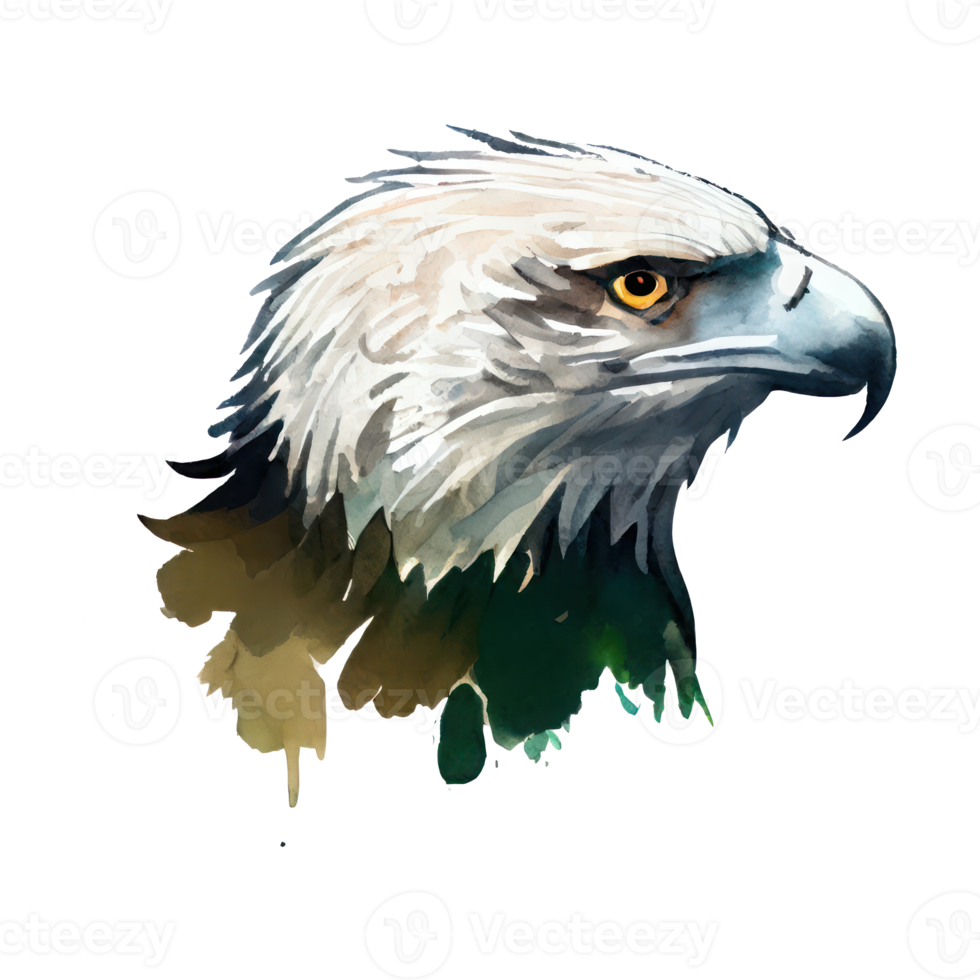 Watercolor Eagle . AI Generated png