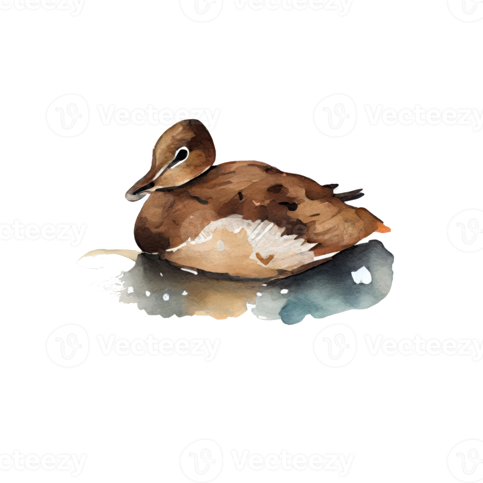 Watercolor Duck . AI Generated png