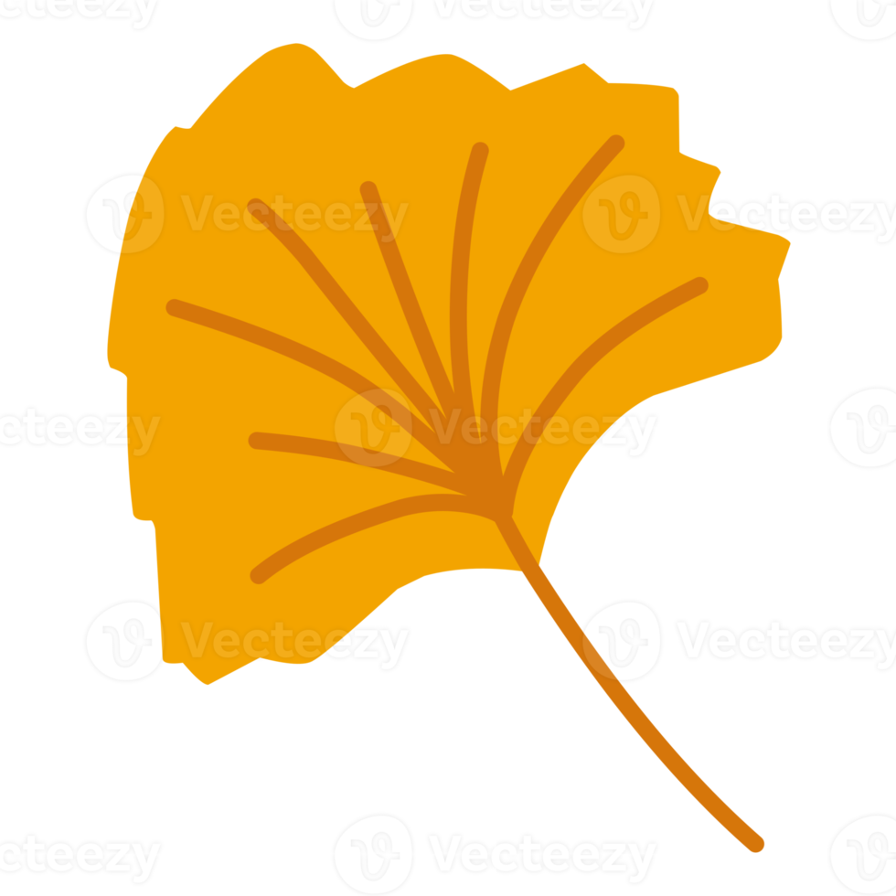 Autumn Leaves For Decorations png