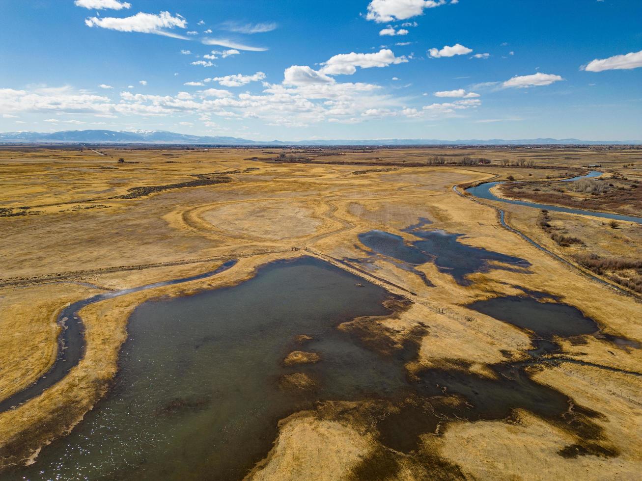 swamp in colorado photo