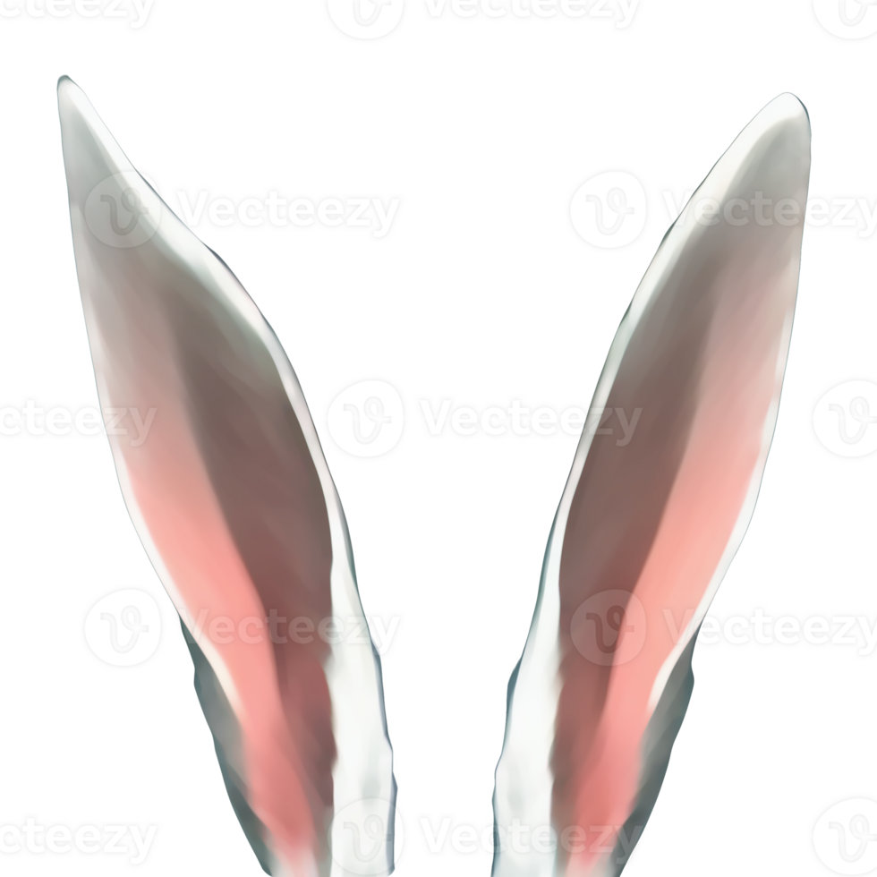 white rabbit ears png