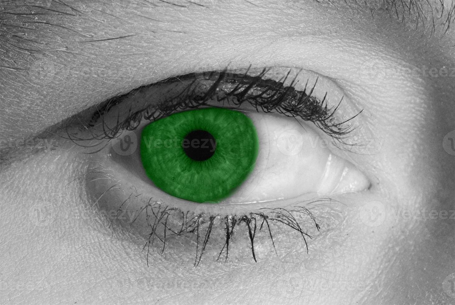 green eye macro photo