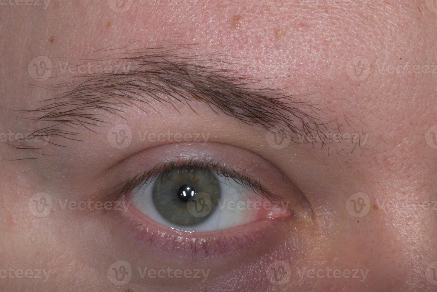 verde ojo macro foto