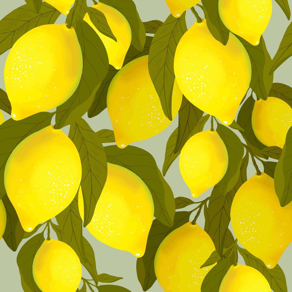 Vintage pattern with lemons branches vector