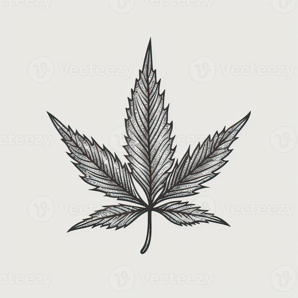 Marijuana leaf. Hand drawn design element cannabis. Vintage black vector engraving illustration for label, poster, web. . photo