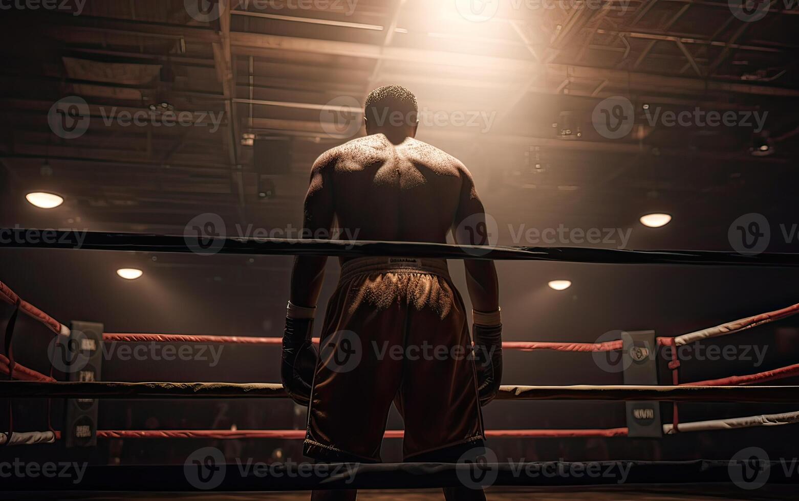 Boxing champion standing on arena. Rear view of shirtless man in boxing gloves. Muscular build concept. . photo