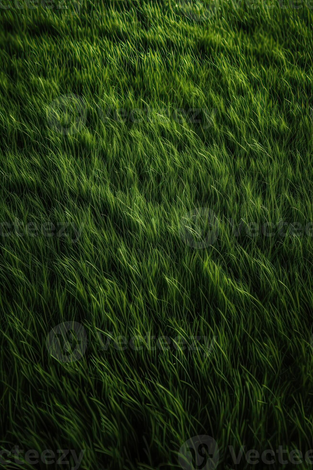 close up view of dark green felt texture Stock Photo by LightFieldStudios