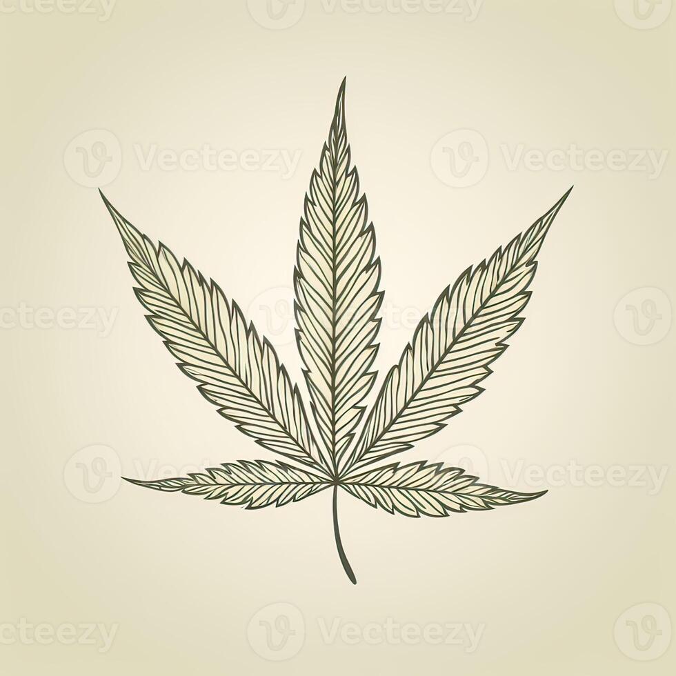 Marijuana leaf. Hand drawn design element cannabis. Vintage black vector engraving illustration for label, poster, web. . photo