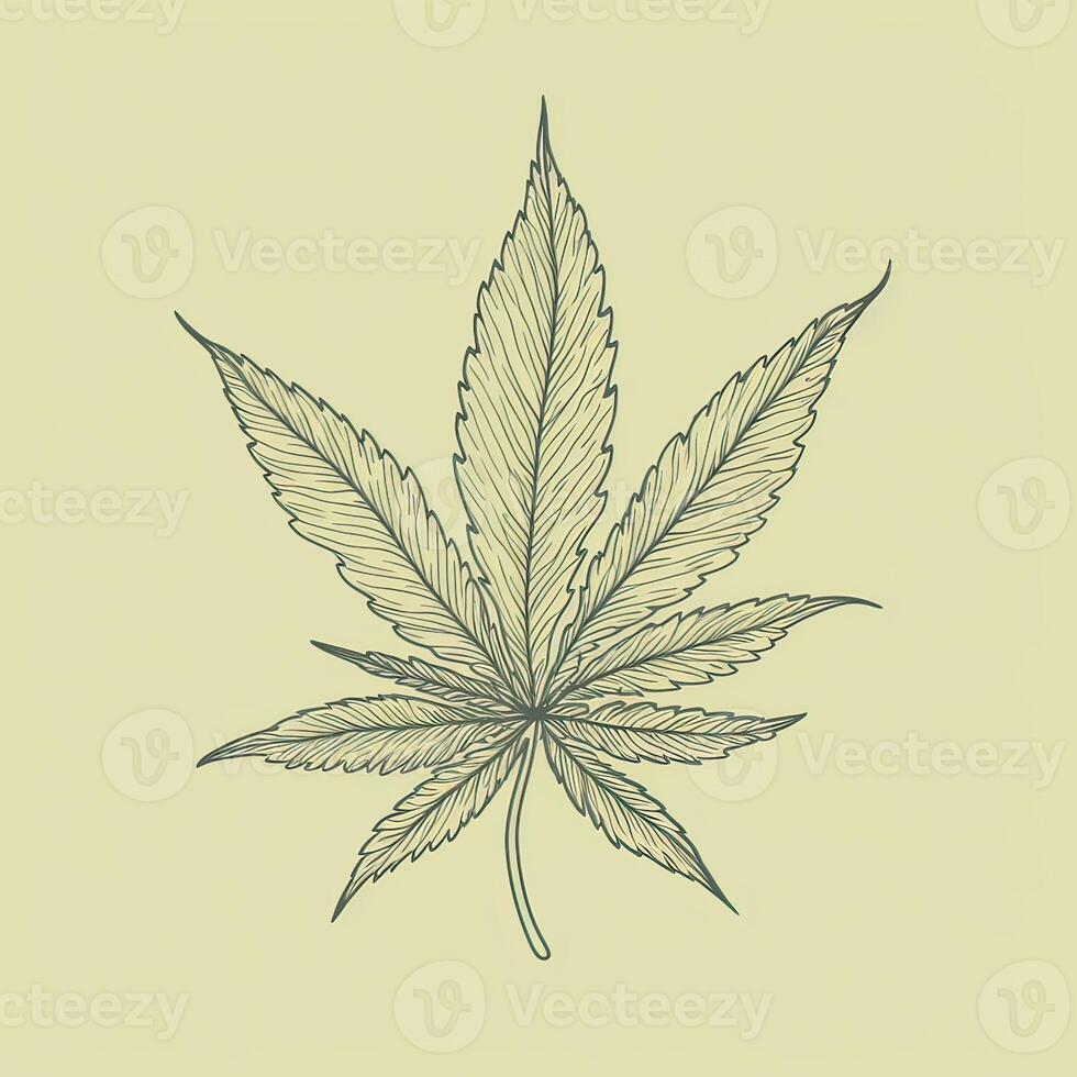Marijuana leaf. Hand drawn design element cannabis. Vintage black vector engraving illustration for label, poster, web. . photo