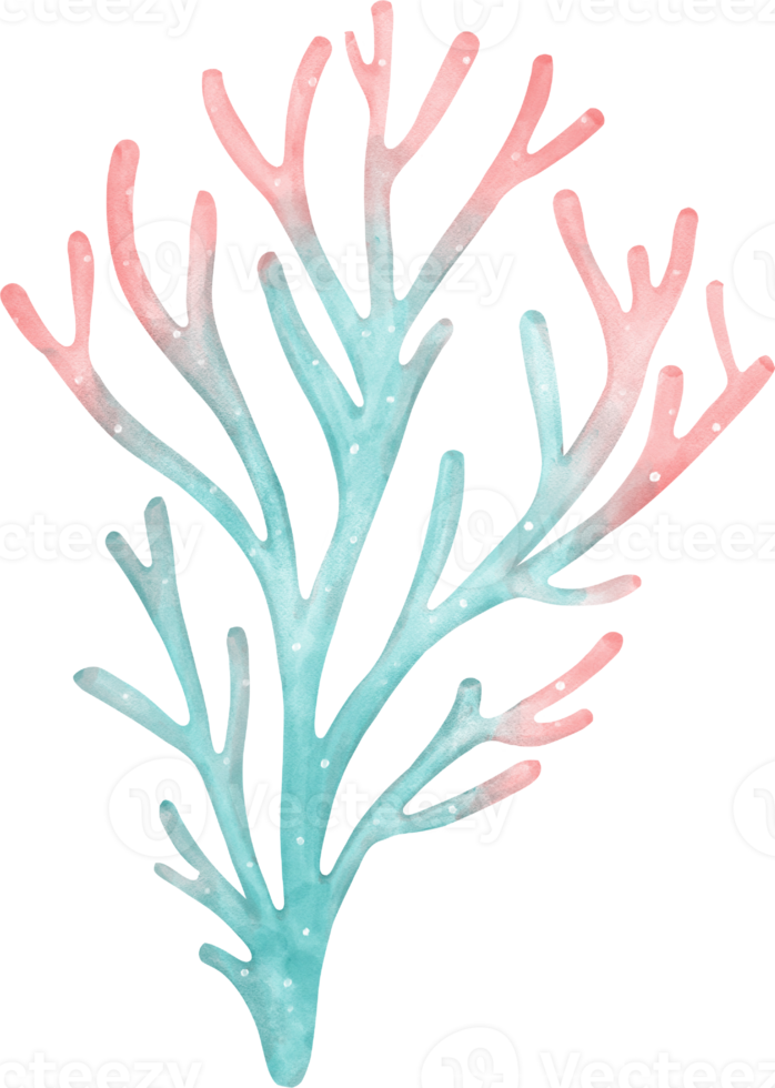 Cute watercolor colourful coral reef cartoon hand painting png