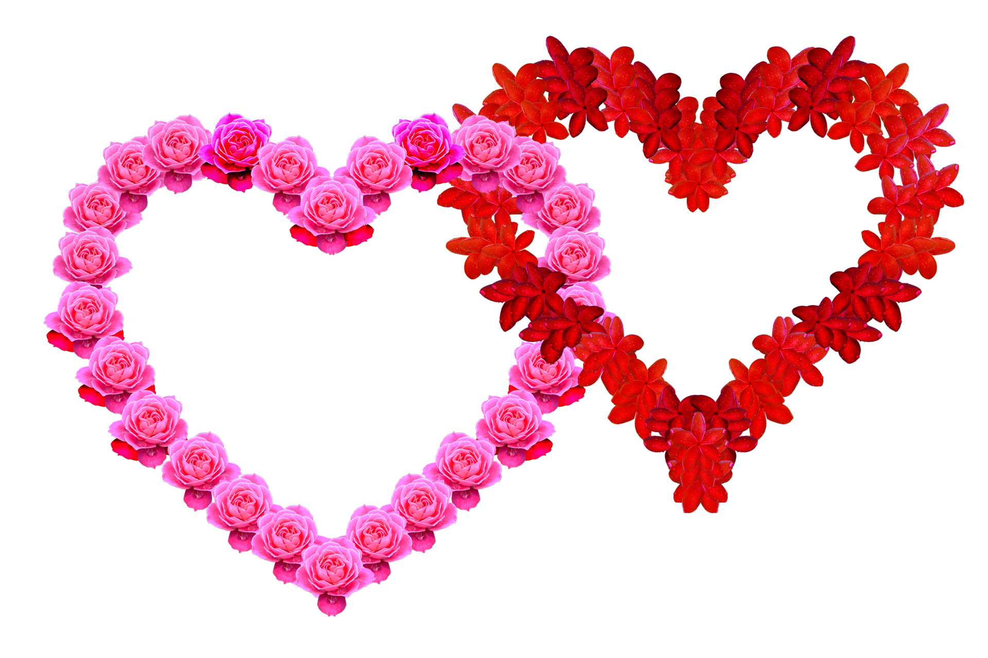 free-decoration-pattern-symbol-by-two-type-flowers-one-of-it-roses