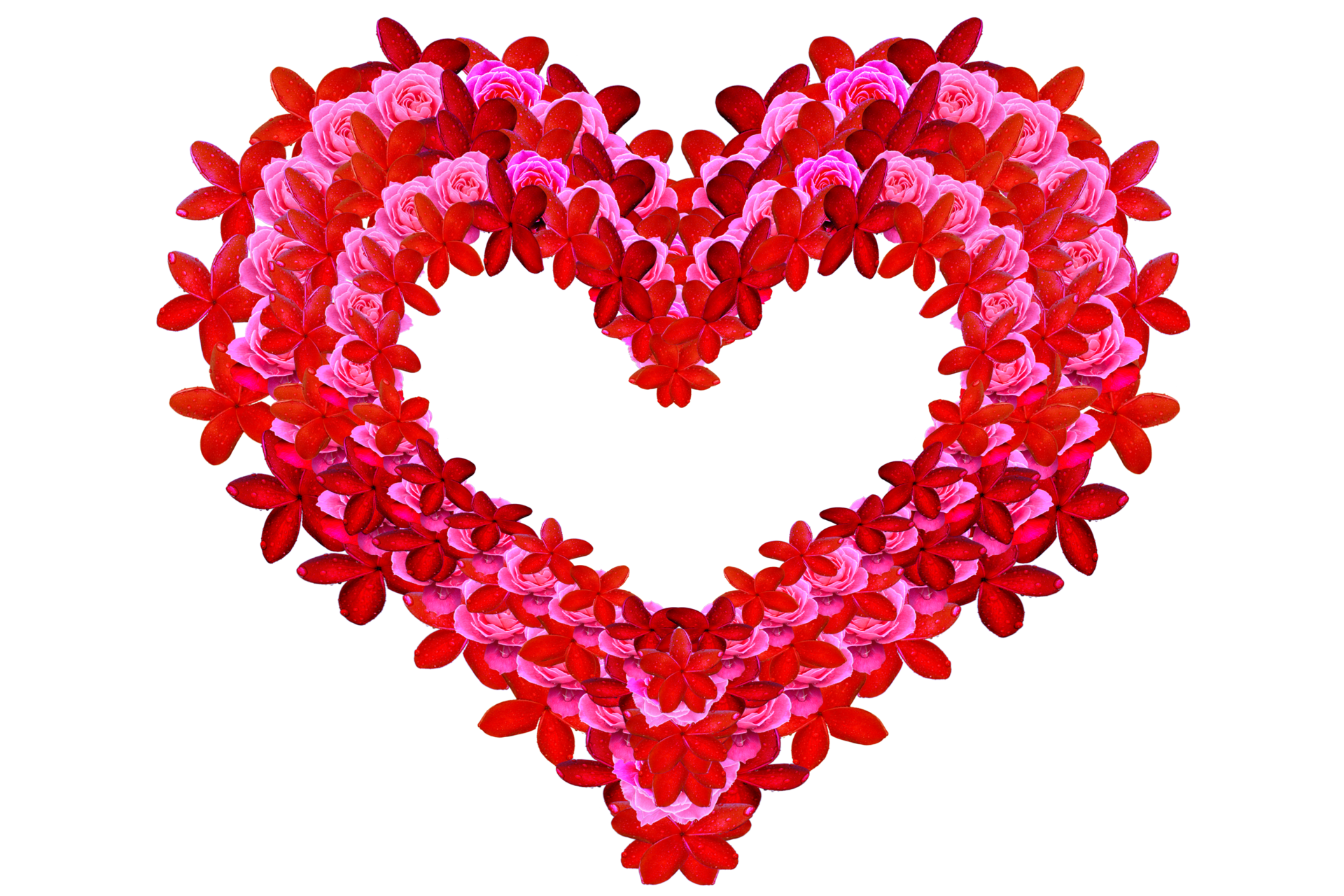 decoration-pattern-symbol-by-two-type-flowers-one-of-it-roses-22891359-png