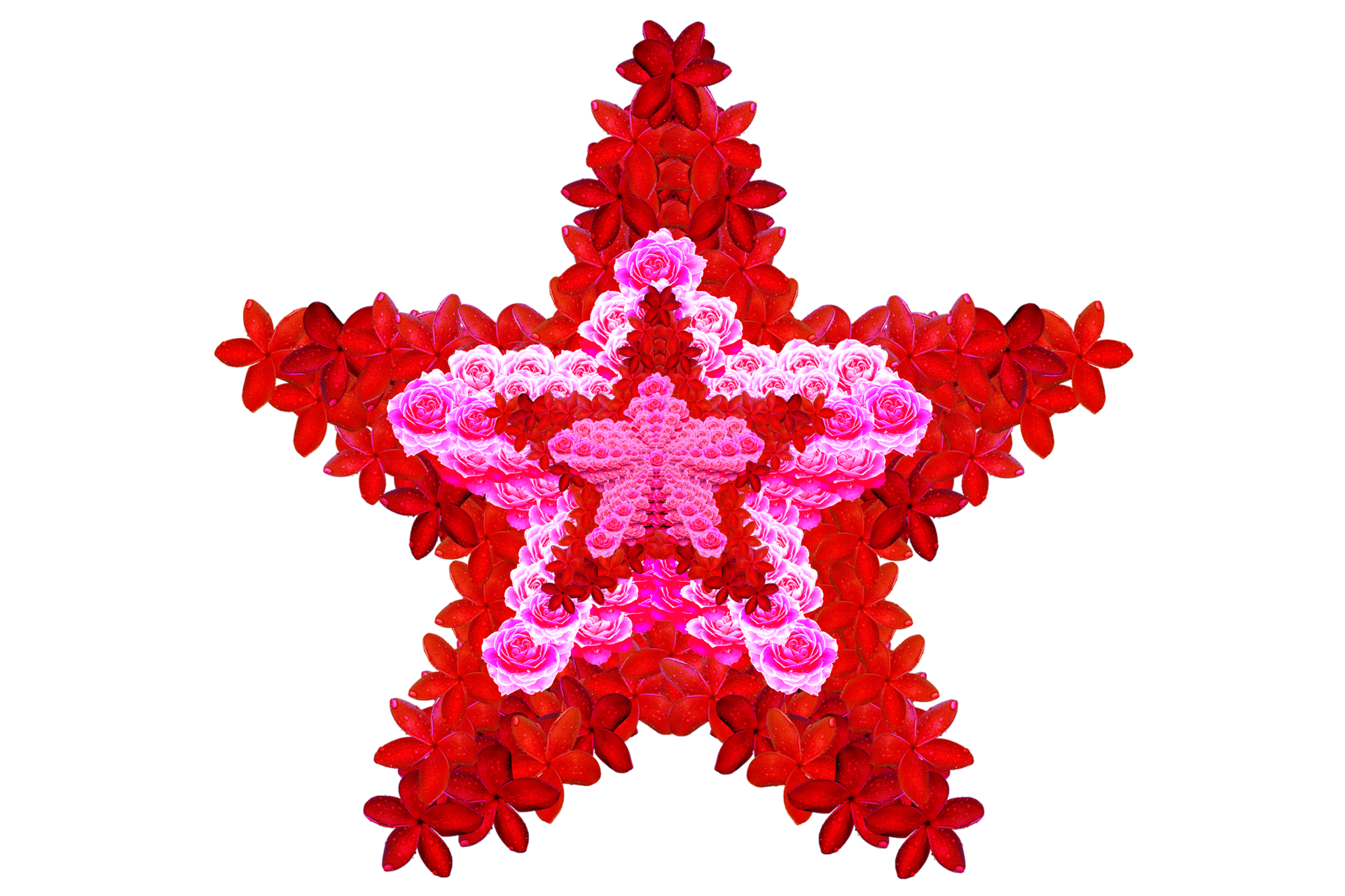 free-decoration-pattern-symbol-by-two-type-flowers-one-of-it-roses