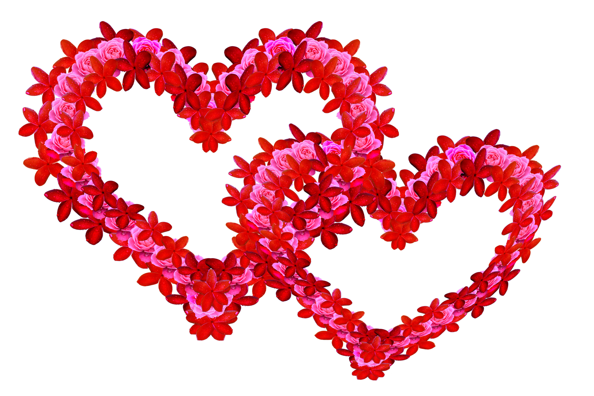 decoration-pattern-symbol-by-two-type-flowers-one-of-it-roses-22891417-png