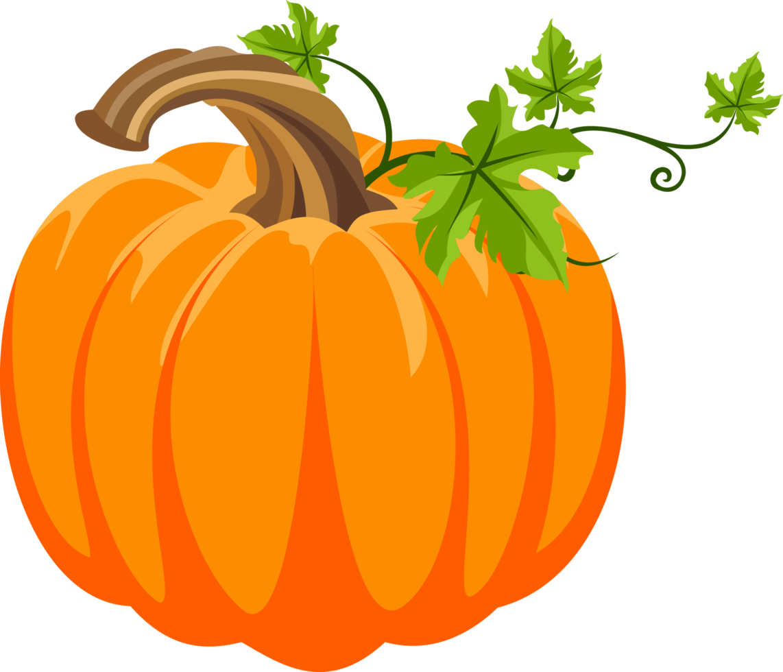 fresh pumpkin cartoon. healthy vegetable food, organic ripe fresh natural png