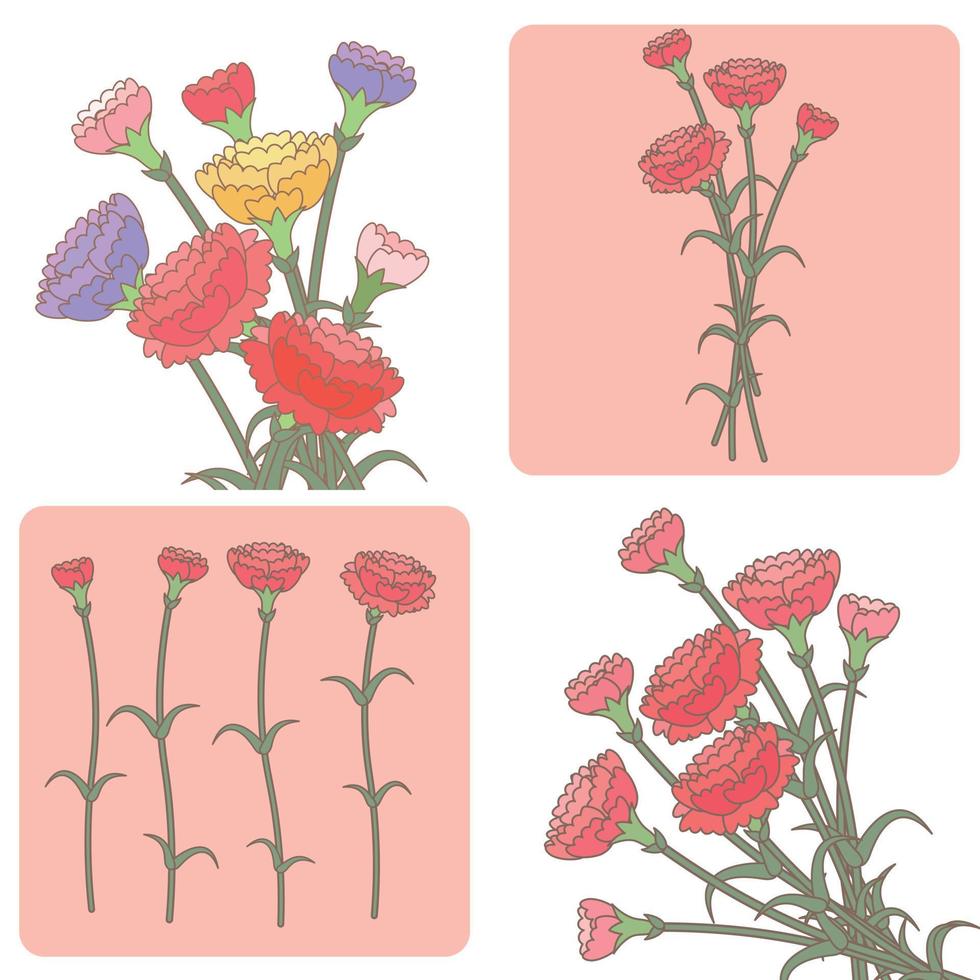 carnation flowers for mothers day vector