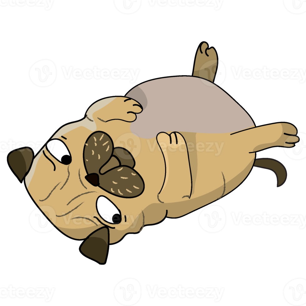 fofa pug engraçado cachorro png