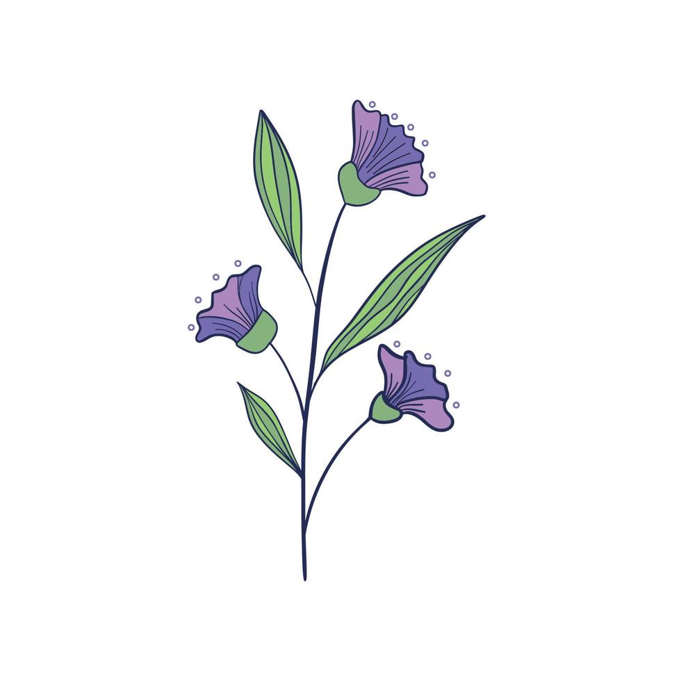 Beautiful purple princess flower or tibouchina urvilleana and leaf on white background. Vector set of blooming floral for wedding invitations and greeting card design.