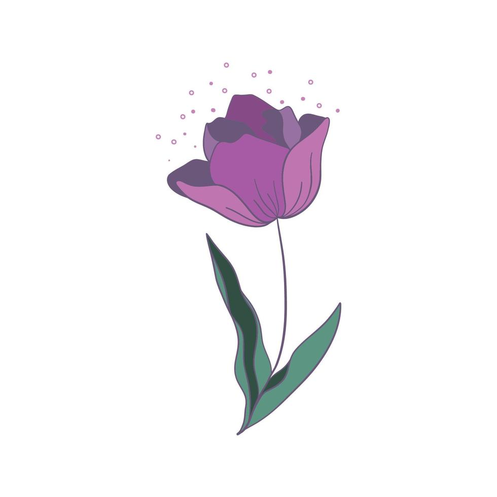 Flower flat vector icon tulip, crocus, snowdrop, flowers line drawing art. Vector illustration