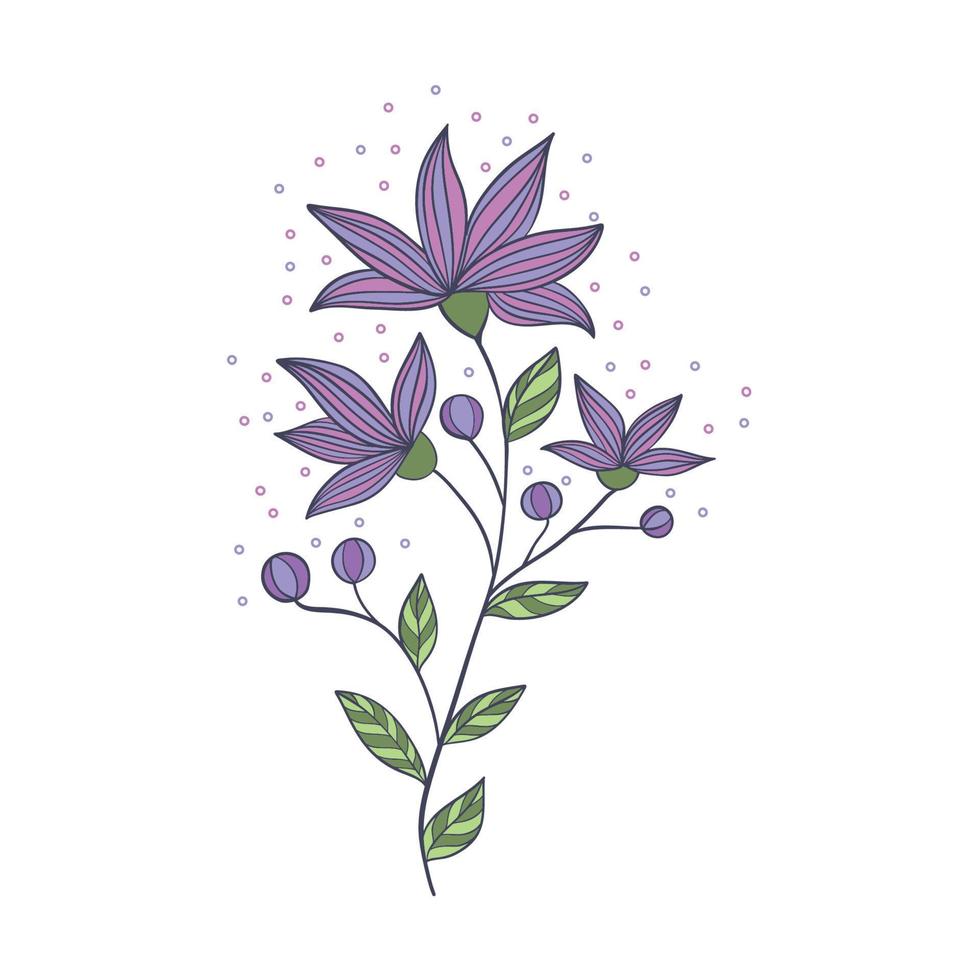 Springtime colorful Daisy flower on white background vector
