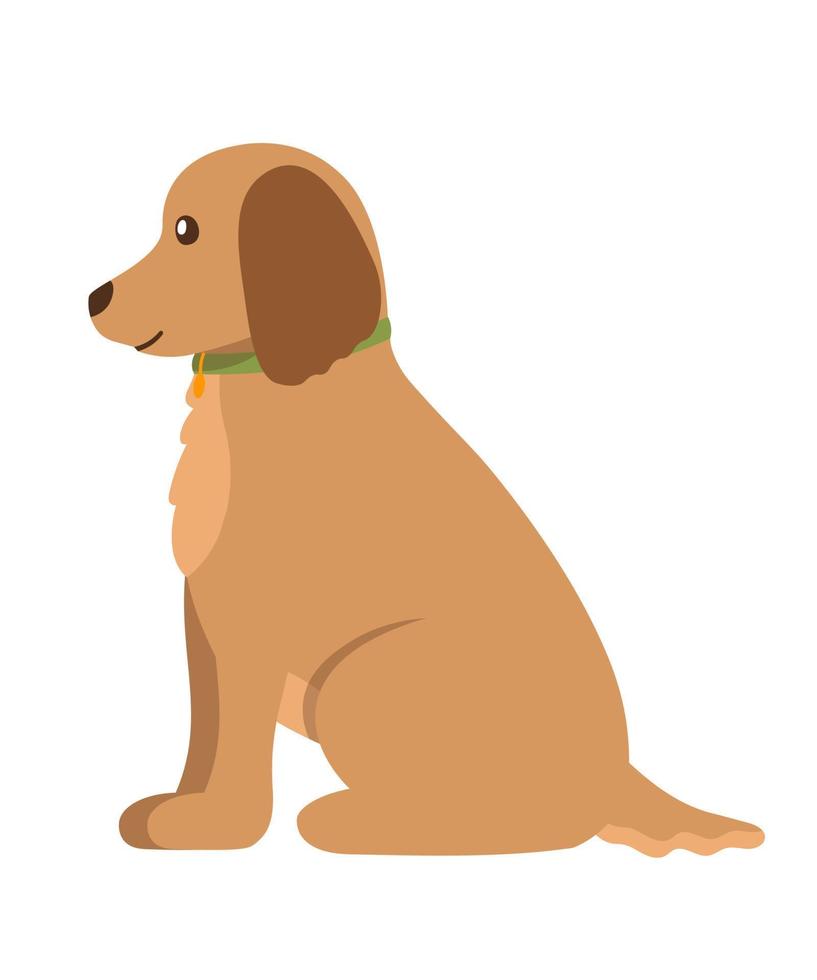 Portrait Of Curly Brown Dog With Dark Ear. Pet In Green Collar Vector Flat Illustration