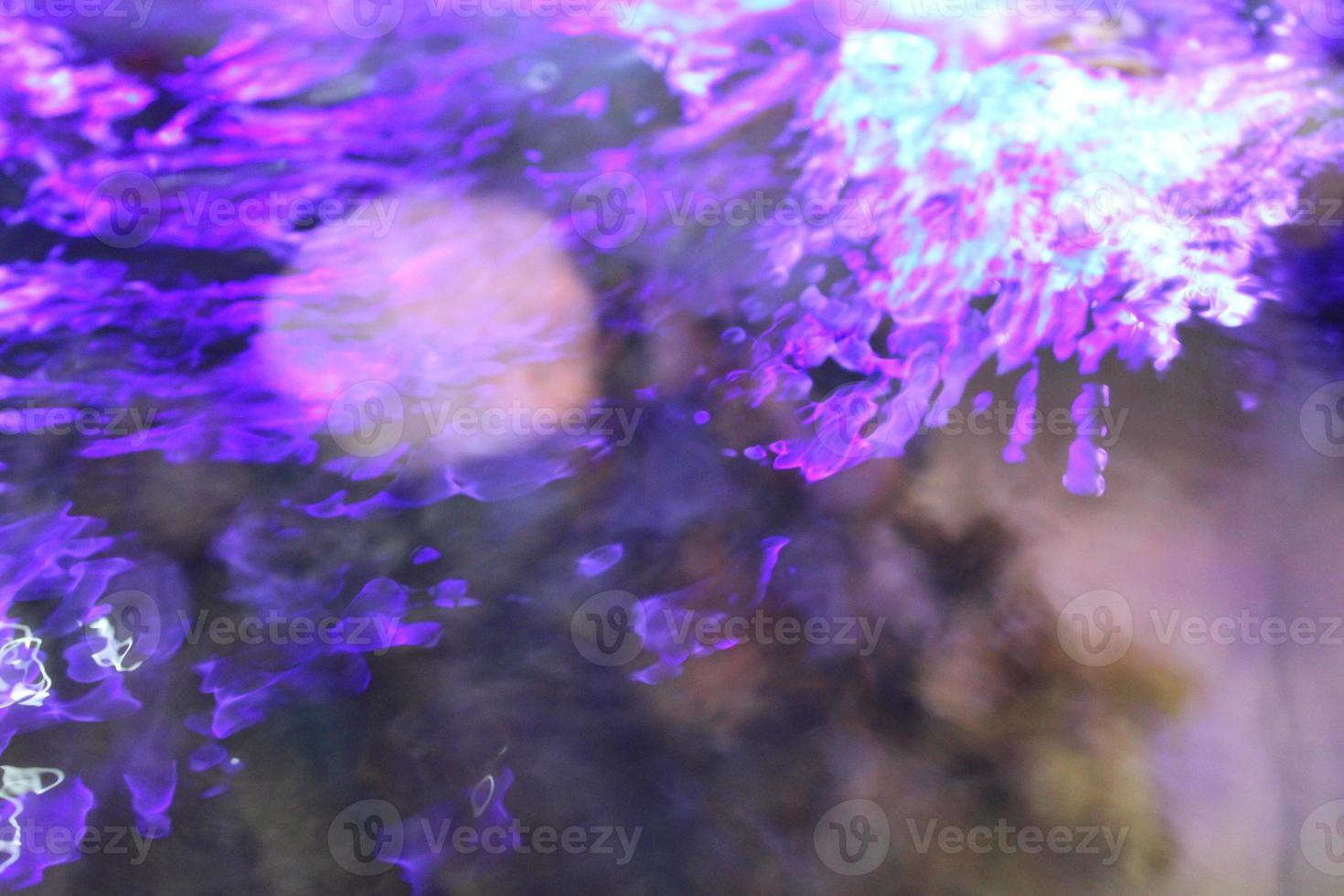 photo of purple aquarium water from above 22893375 Stock Photo at Vecteezy