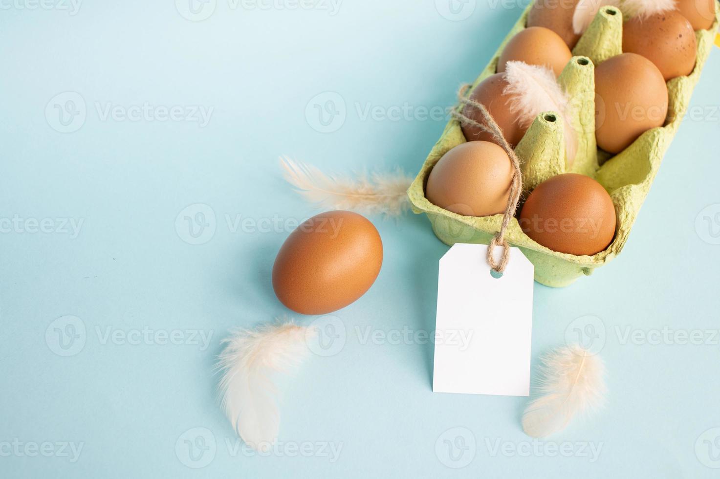 Chicken eggs in tray, empty tag mockup pink bird feathers on blue background photo