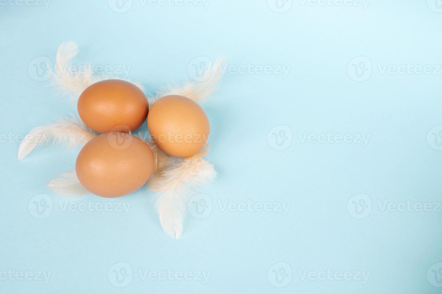 Easter composition. Red eggs lie on a blue background. Pink bird feathers are scattered on the table photo
