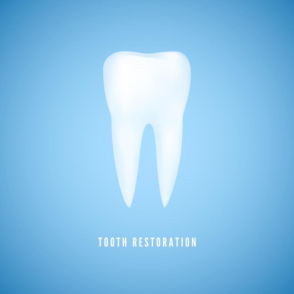 White realistic tooth illustration. Clear health Molar. Dentist care and tooth restoration medicine background on blue background. Vector