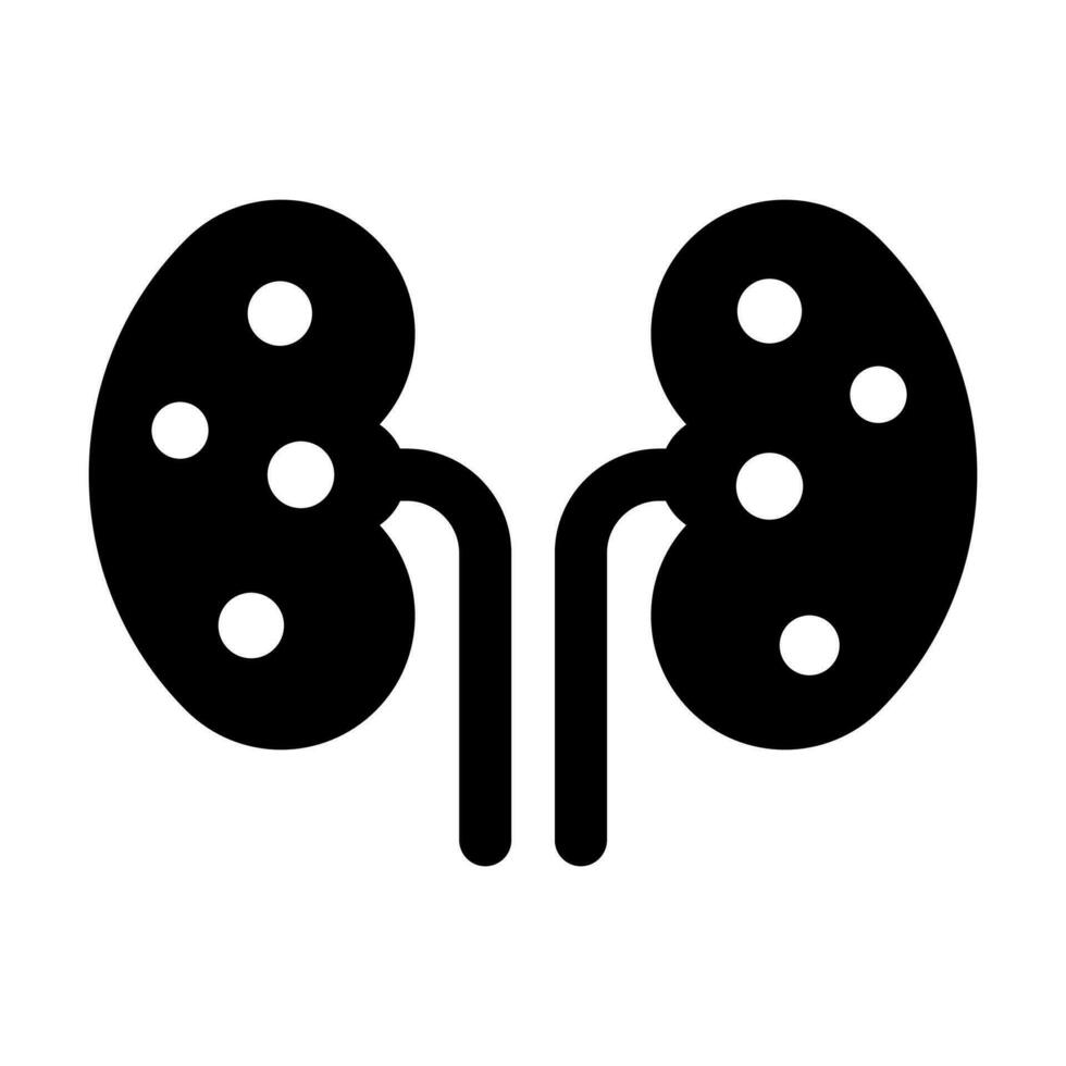 Kidney vector modern design, an human organ icon