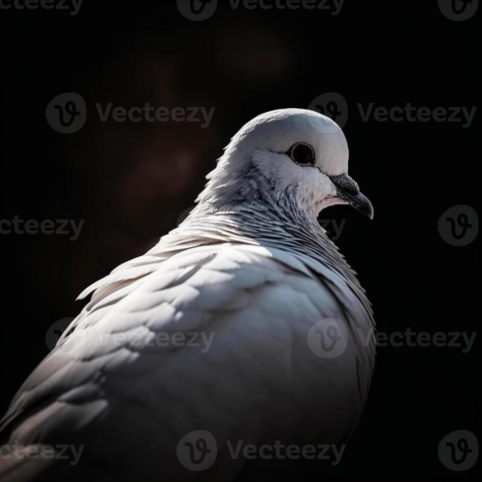 Detailed portrait of a white dove's head, generate ai photo