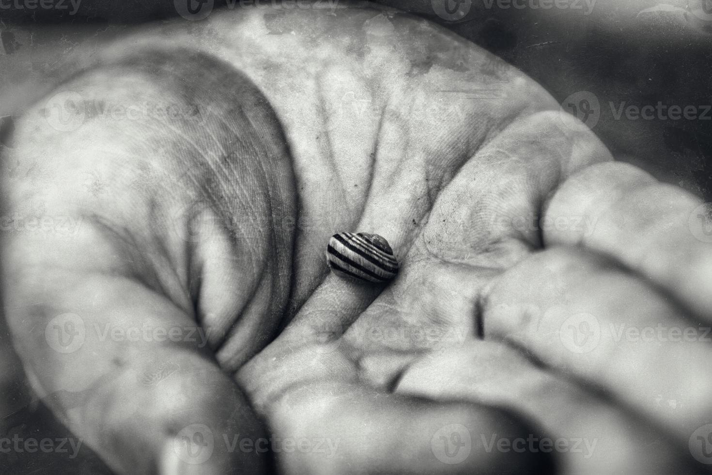 un niño mano con un encantador delicado dormido caracol foto