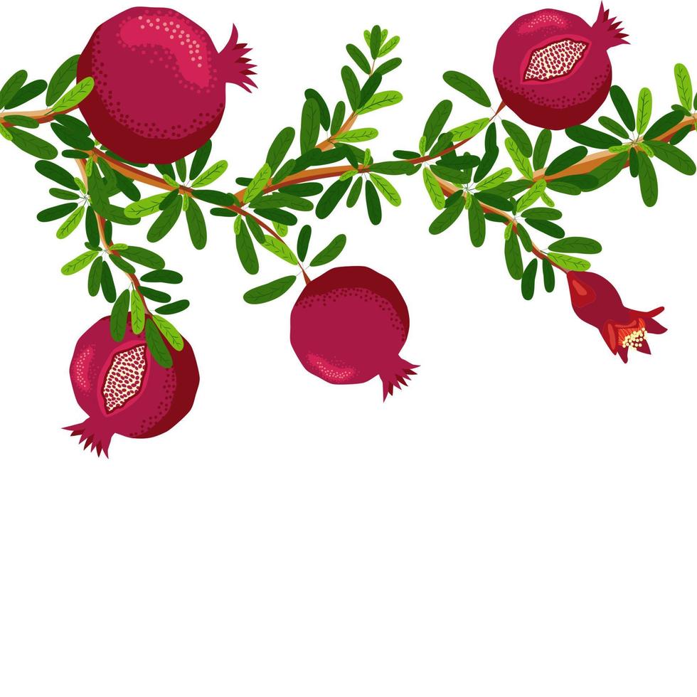 Pomegranate branches with fruits and flowers Seamless pattern. Bright leaves and fruits. Jewish New Year vector