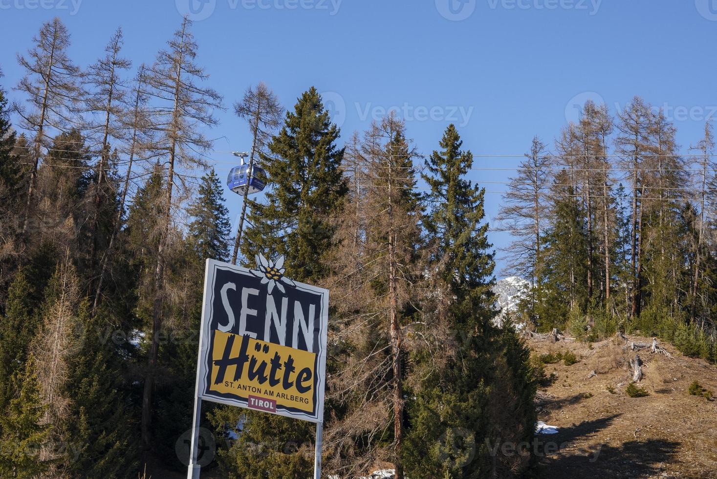 Sign boards in front of tall trees on mountain photo